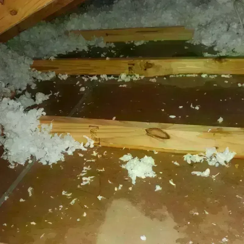 Attic Water Damage in Munford, TN